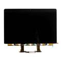 Apple MacBook Pro 13" Retina  A2159 / A2289 / A2251 / A2259    LCD TN panel glass