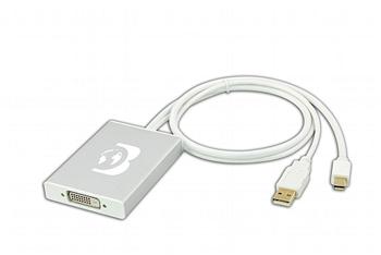 Drbott Mini DisplayPort to Dual-Link DVI / 2560x1600 / DVI Adapter